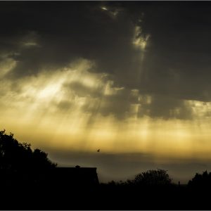 01707